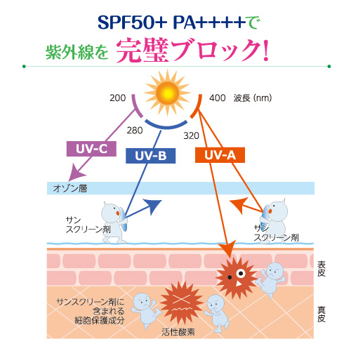SPF50++PA++++で紫外線を完全ブロック!