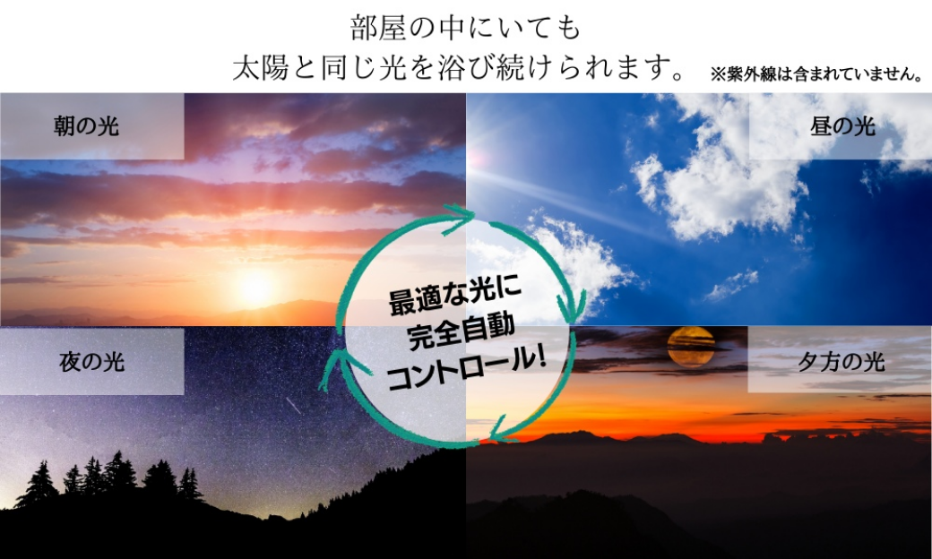1日24時間、365日。 その“光”が、あなたの健康を支えている。