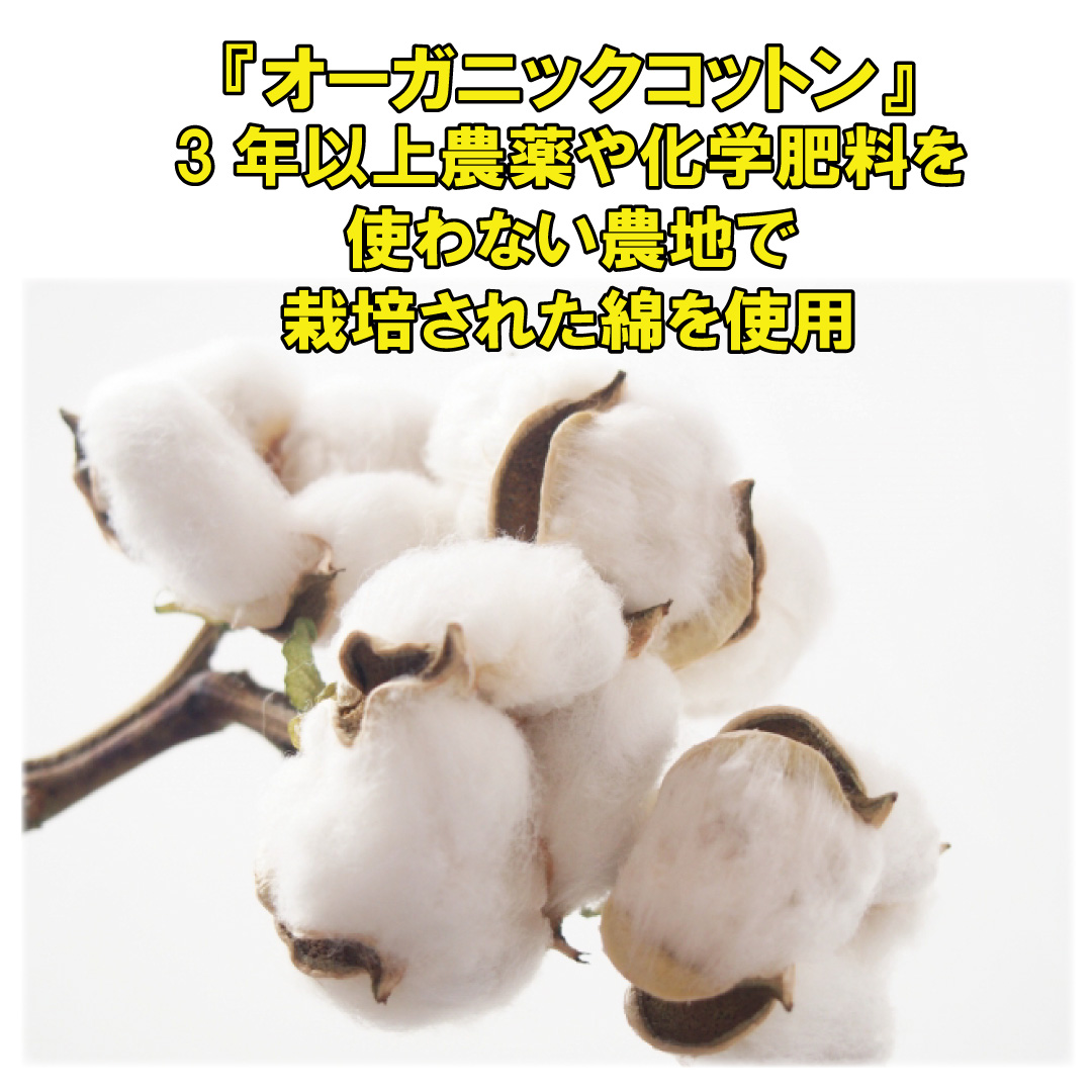 素材は柔らかな肌あたりの オーガニックコットン