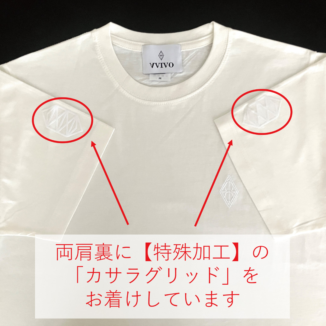 次元の進化に必要不可欠 真の生命の樹”カサラグリッド”を採用
