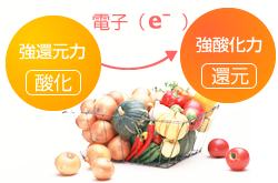 FTWセラミックスについて