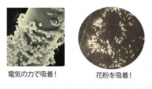 「PM2.5とるとるフィルター」をご使用にあたってのポイント