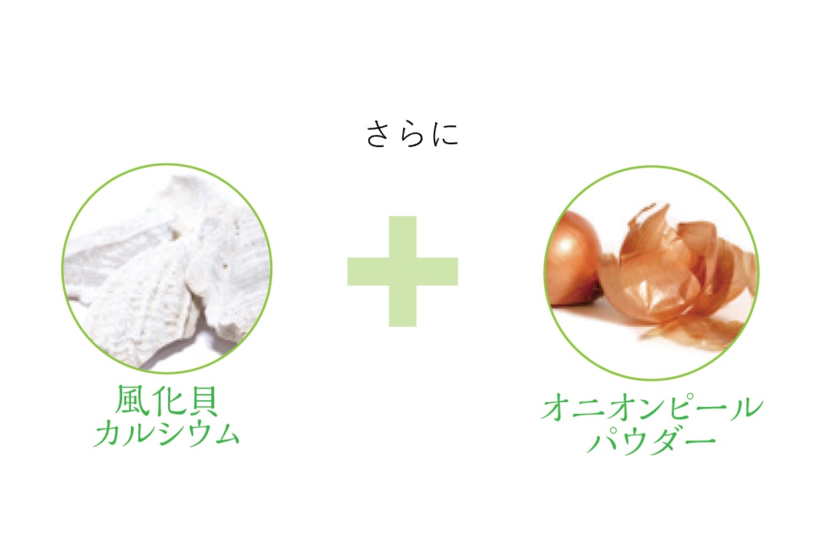 2.生命エネルギーを旺盛にする天然由来の食品原料