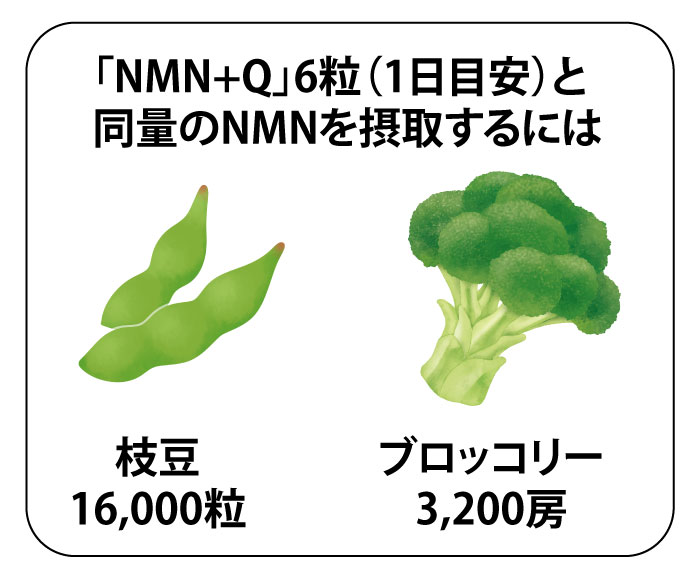 NMNは野菜やフルーツ、タネ類に含まれるが、量は少ない