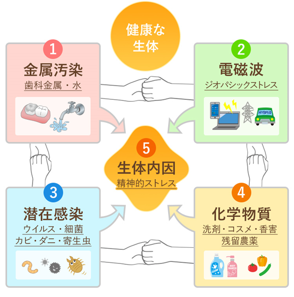 5つの病因による疾患モデル