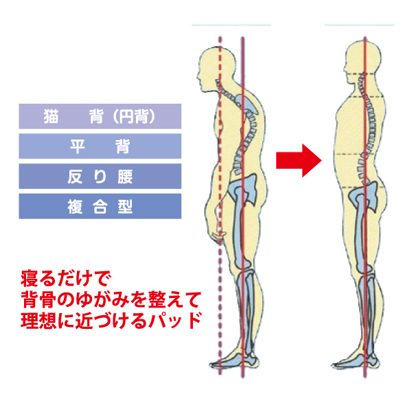 寝ている間がのびる時間　～3つの特徴～