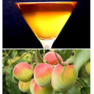 還元発酵乳酸菌をプラス!